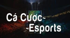 Khái quát về cá cược esport